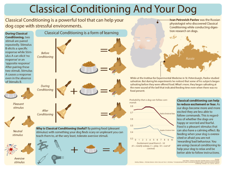 Classical Conditioning in Dogs