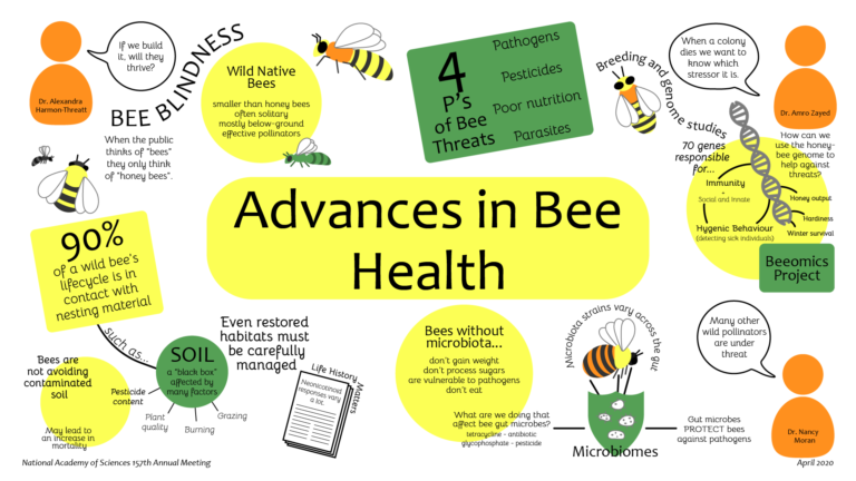 Advances in Bee Health – Digital Sketchnotes